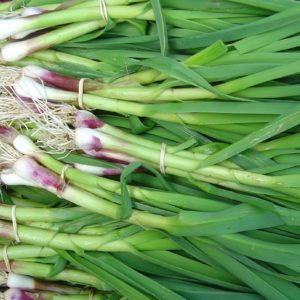 Découvrez l'Aillet de printemps Bio HappyPanier