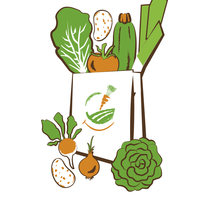 Panier de légumes BIO Moyen