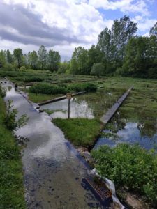 Bassins à l'entrée de la Cressonnière ; partenaire HappyPanier Biologique et solidaire