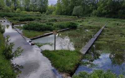 La Cressonnière du Bugey : zoom sur notre partenaire Biologique et Solidaire