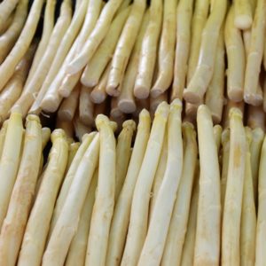 asperges blanches