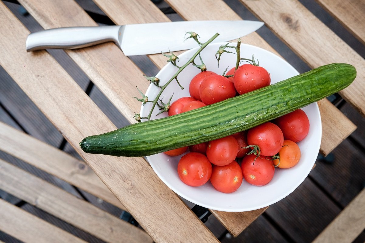 Plants de courgettes Bio sous un tunnel à la Cressonnière du Bugey