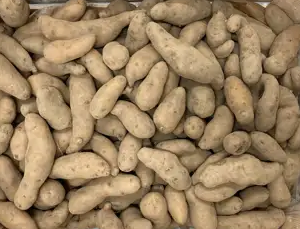 Pommes de terre Ratte Bio 1 Kg