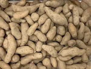 Pommes de terre Ratte Bio 1 Kg