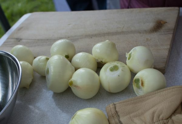 oignons blancs