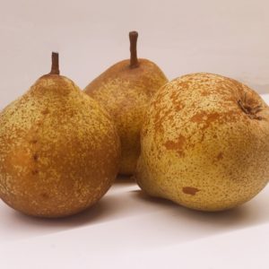 Poire Blesson à rissole